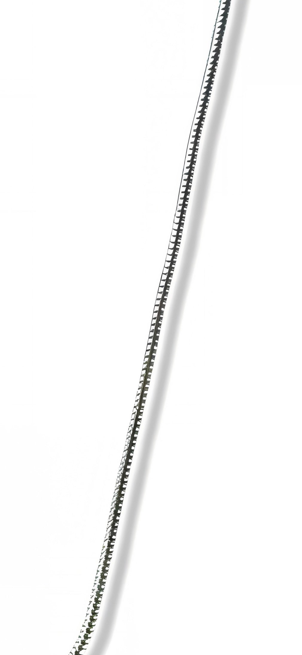 Thin silver chain on a white background