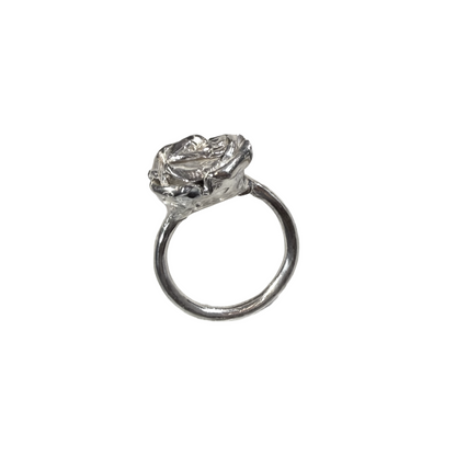 Silver rose ring white background