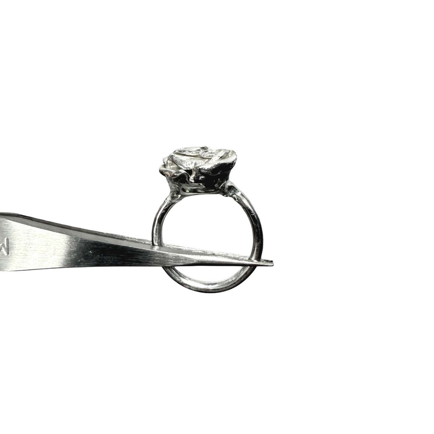Del Rosedal Ring