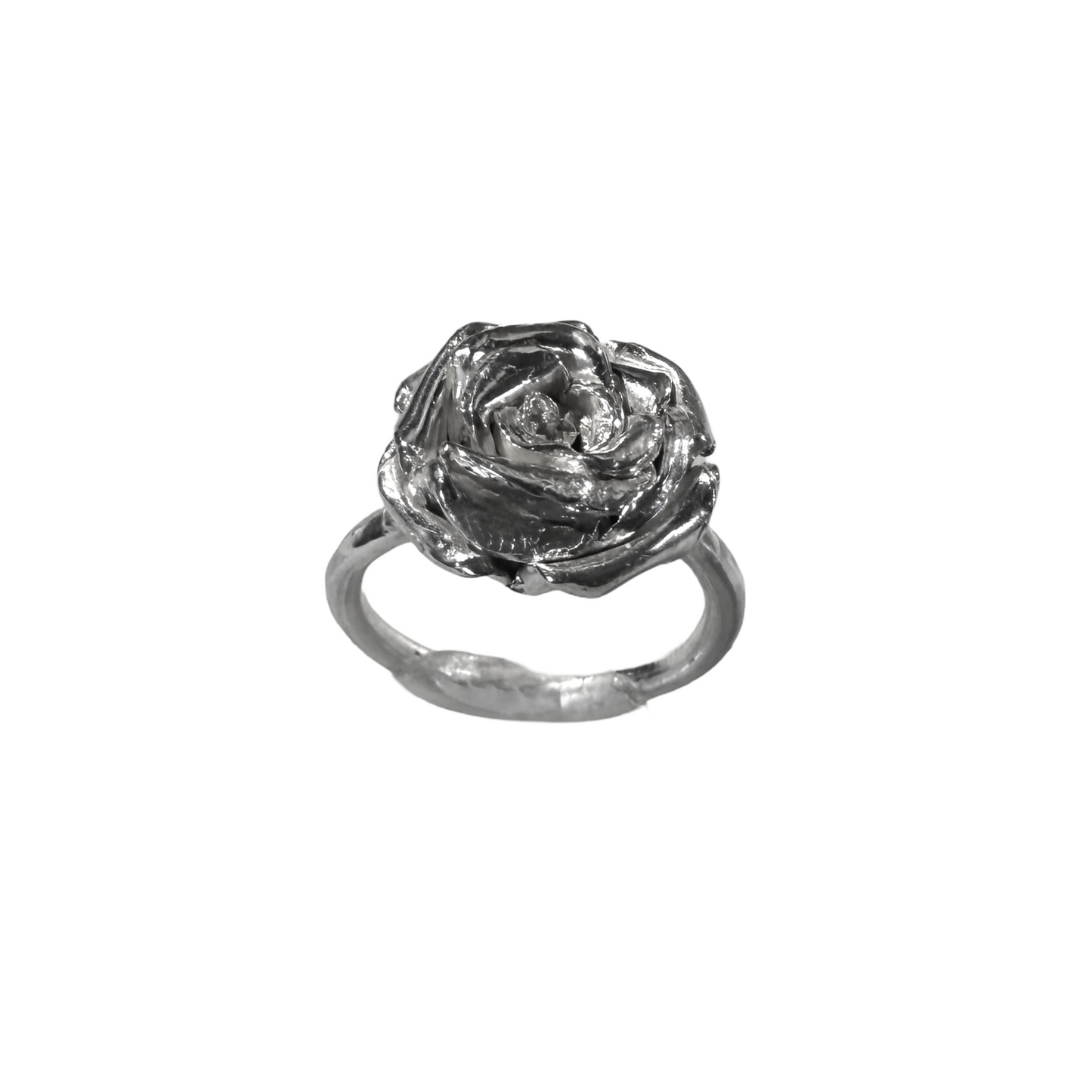 Del Rosedal Ring