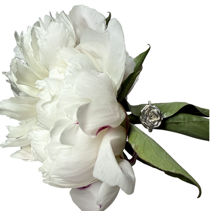 White peony flower with green leaves and a silver rose ring on a white background